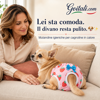 🌸 Mutandine per Cagnoline in Calore 🐾 Più Pulizia in Casa, Più Comfort Ogni Giorno