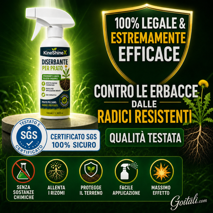 ⚡🌿 Diserbante per uso domestico – Diserbo facile e senza stress in giardino! 🏡✨