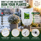 ⏳ Offerta a tempo limitato ⏰ Essenziale per il giardino d’inverno – Copertura antigelo per piante, traspirante e riutilizzabile per arbusti, piante in vaso e giovani alberi ❄️🌿