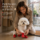 🐕🧦 Calzini antiscivolo e impermeabili per cani e gatti – Zampe protette, pavimenti asciutti! 💧✨
