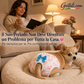 🌸 Mutandine per Cagnoline in Calore 🐾 Più Pulizia in Casa, Più Comfort Ogni Giorno