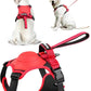 🐕✨ Kit Imbracatura e Guinzaglio Retrattile per Cani – Tutto-in-Uno – Comfort, Sicurezza e Libertà in un Solo Prodotto!