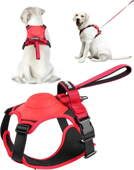 🐕✨ Kit Imbracatura e Guinzaglio Retrattile per Cani – Tutto-in-Uno – Comfort, Sicurezza e Libertà in un Solo Prodotto!