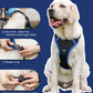 🐕✨ Kit Imbracatura e Guinzaglio Retrattile per Cani – Tutto-in-Uno – Comfort, Sicurezza e Libertà in un Solo Prodotto!