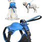 🐕✨ Kit Imbracatura e Guinzaglio Retrattile per Cani – Tutto-in-Uno – Comfort, Sicurezza e Libertà in un Solo Prodotto!