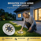 🔥☀️ Luce da terra solare in acciaio inox con 8 LED – Illumina il tuo giardino a energia gratuita! 💡🌿