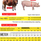 🐄✨Goitali® Nastro di Misurazione del Peso per Bestiame – Ideale per Bovini, Suini e Animali da Fattoria