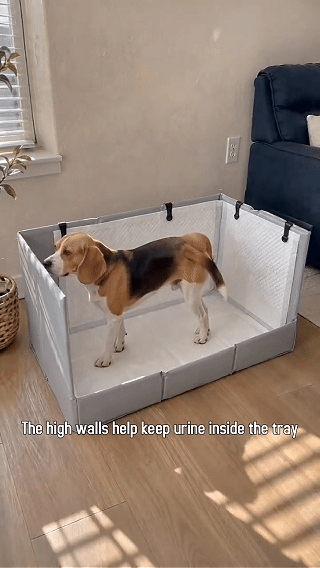 🐾 Toilette per Cani con 3 Pareti Antischizzo ✨ Protegge Pavimento e Pareti, Pieghevole e Salvaspazio