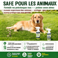 ⚡🌿 Diserbante per uso domestico – Diserbo facile e senza stress in giardino! 🏡✨