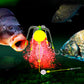 🎣💯 Offerta a tempo limitato: metà prezzo! Kit da pesca a quattro ami anti-aggroviglio 🐟🔧