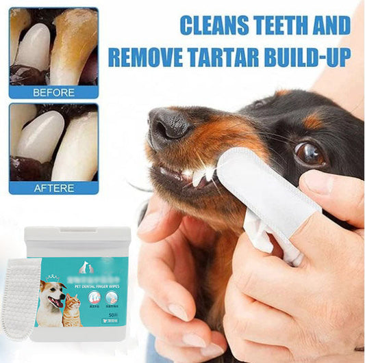 🐕 Più acquisti, più risparmi! 🐱 Salviette per la pulizia dentale degli animali – Alito fresco e denti puliti senza spazzolino