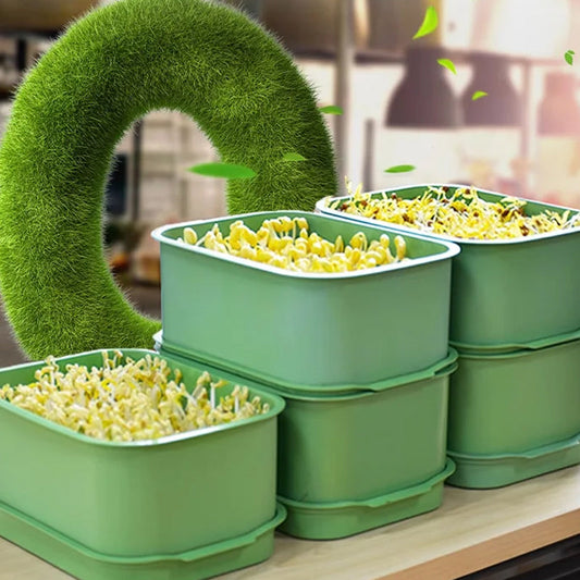 🌱🔄 Contenitore impilabile per germogli di fagiolo – Freschi e croccanti ogni giorno! 💚