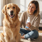 💘 Solo per un periodo limitato: 50% di sconto! 🐾 Schiuma antitararo per animali domestici – Formula naturale e applicazione senza sforzo!