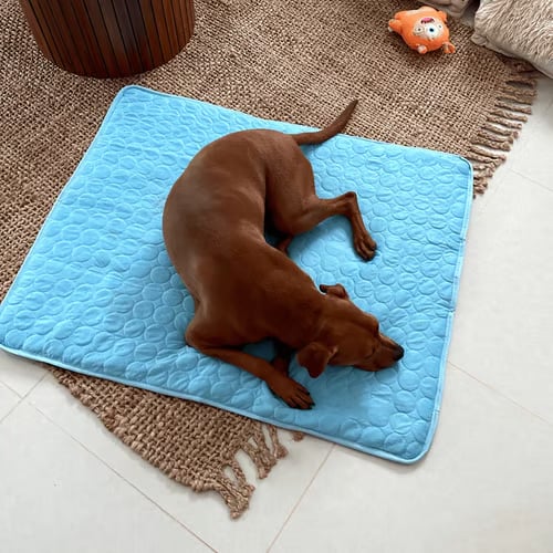 ❄️🐾 Tappetino rinfrescante per animali domestici (Effetto rinfrescante 4 volte superiore) 🐶 Un must-have estivo per ogni proprietario di animali