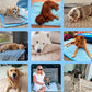 ❄️🐾 Tappetino rinfrescante per animali domestici (Effetto rinfrescante 4 volte superiore) 🐶 Un must-have estivo per ogni proprietario di animali