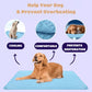 ❄️🐾 Tappetino rinfrescante per animali domestici (Effetto rinfrescante 4 volte superiore) 🐶 Un must-have estivo per ogni proprietario di animali