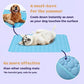 ❄️🐾 Tappetino rinfrescante per animali domestici (Effetto rinfrescante 4 volte superiore) 🐶 Un must-have estivo per ogni proprietario di animali