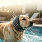 🐶 Copertura calmante impermeabile per cani con cappuccio