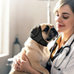 🐶 Copertura calmante impermeabile per cani con cappuccio