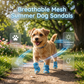 🐶💨 Scarpe in rete traspirante per cani – Antiscivolo, leggere e perfette per ogni passeggiata! 🦮✨