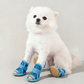 🐶💨 Scarpe in rete traspirante per cani – Antiscivolo, leggere e perfette per ogni passeggiata! 🦮✨