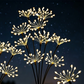 "Luci da giardino a fuochi d'artificio alimentate a energia solare" 🎆🌞✨
