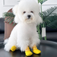 🐕🧦 Calzini antiscivolo e impermeabili per cani e gatti – Zampe protette, pavimenti asciutti! 💧✨