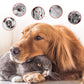 🐕🐈🧴 Spray Deodorante Antibatterico per Cani e Gatti – Neutro, sicuro, efficace contro i batteri! 🦠❌