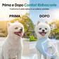 🐶 Abbigliamento estivo traspirante per cani – fresco, leggero e perfetto per le passeggiate sotto il sole! ☀️👕