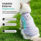 🐶 Abbigliamento estivo traspirante per cani – fresco, leggero e perfetto per le passeggiate sotto il sole! ☀️👕