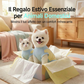 🐶 Abbigliamento estivo traspirante per cani – fresco, leggero e perfetto per le passeggiate sotto il sole! ☀️👕