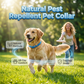 📿 Collare antiparassitario naturale per animali con oli essenziali 🌿🐾