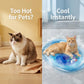 🐱 Letto ad acqua gonfiabile rinfrescante per gatti – fresco e comfort per il tuo felino! 💧❄️🛏️