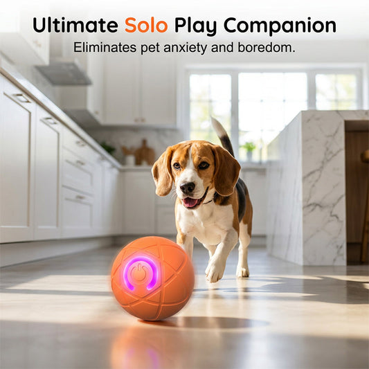 🐾 Palla intelligente che rimbalza da sola – divertimento senza fine per il tuo pet! 🎾🔋✨