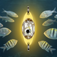🎣 Esche da pesca subacquee a LED – illumina il fondo e attira il pesce in un attimo! 💡🐟✨