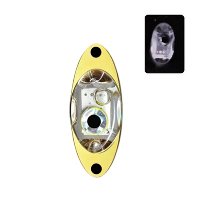 🎣 Esche da pesca subacquee a LED – illumina il fondo e attira il pesce in un attimo! 💡🐟✨