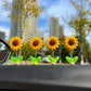 🌻 Decorazioni per auto a forma di girasole – allegria e colore per i tuoi viaggi! 🚗✨🌞