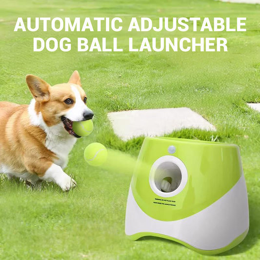 🐕⚾ Lanciatore automatico di palline regolabile per cani – esercizio e divertimento assicurati! 🎾✨