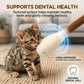 😻🐱 Giocattolo interattivo per gatti a bastoncino con erba gatta – stimola il gioco e l'istinto felino! 🌿🧶✨