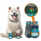 🌟🐕 Scarpette traspiranti in mesh per cani – Design luminoso per passeggiate sicure al buio! ✨🌙