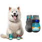 🌟🐕 Scarpette traspiranti in mesh per cani – Design luminoso per passeggiate sicure al buio! ✨🌙
