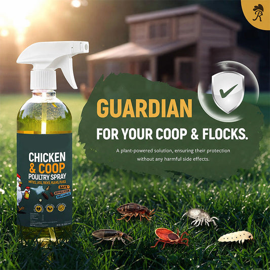 🐓🌿 Spray detergente naturale per pollai – Pulizia profonda, odori neutralizzati e un ambiente più sano per le tue galline