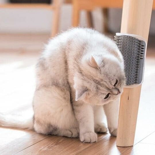🔥Sconto del 50% per un periodo limitato🔥 Pettine da parete cattura-peli per gatti – Raccoglie i peli in eccesso, meno pulizia 🐈‍⬛🧹