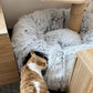 🐱 Cuccia Morbida a Tunnel Pieghevole 2 in 1 per Gatti – Riparo e Gioco in un Solo Accessorio