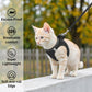 🐱🐕 Set Pettorina e Guinzaglio Riflettente in Mesh per Gatti e Cani Piccoli – Visibilità e Sicurezza per Ogni Passeggiata! ✨🦺