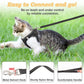 🐱🐕 Set Pettorina e Guinzaglio Riflettente in Mesh per Gatti e Cani Piccoli – Visibilità e Sicurezza per Ogni Passeggiata! ✨🦺