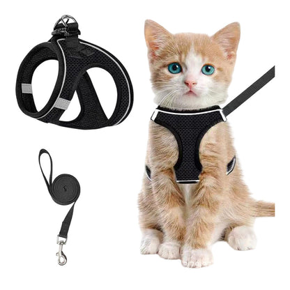 🐱🐕 Set Pettorina e Guinzaglio Riflettente in Mesh per Gatti e Cani Piccoli – Visibilità e Sicurezza per Ogni Passeggiata! ✨🦺