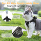 🐱🐕 Set Pettorina e Guinzaglio Riflettente in Mesh per Gatti e Cani Piccoli – Visibilità e Sicurezza per Ogni Passeggiata! ✨🦺