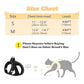 🐱🐕 Set Pettorina e Guinzaglio Riflettente in Mesh per Gatti e Cani Piccoli – Visibilità e Sicurezza per Ogni Passeggiata! ✨🦺