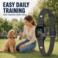 🐕 Collare Antiabbaio Intelligente per Cani – Rilevamento Intelligente, Ricaricabile e Impermeabile IP67 🔋💧